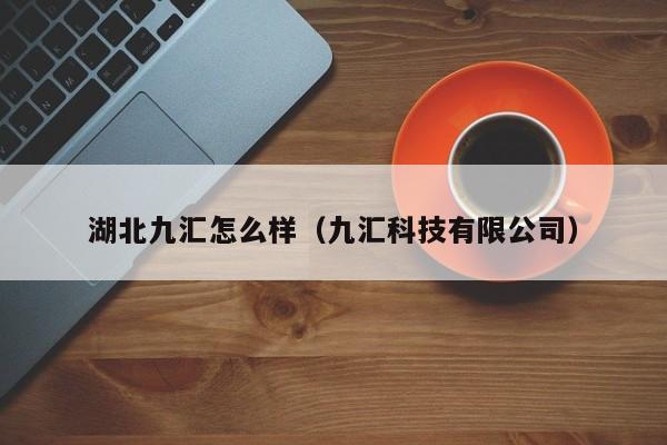 湖北九汇怎么样(九汇科技有限公司)