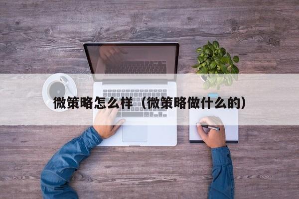 微策略怎么样(微策略做什么的)