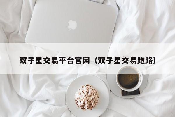 双子星交易平台官网(双子星交易跑路)