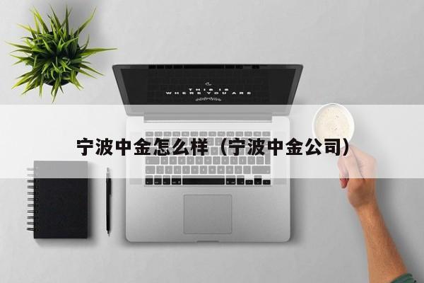 宁波中金怎么样(宁波中金公司)