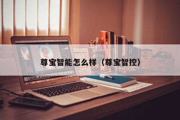 尊宝智能怎么样(尊宝智控)