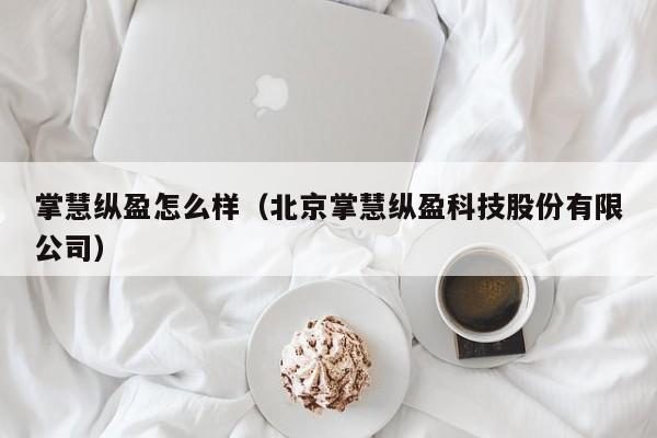 掌慧纵盈怎么样(北京掌慧纵盈科技股份有限公司)