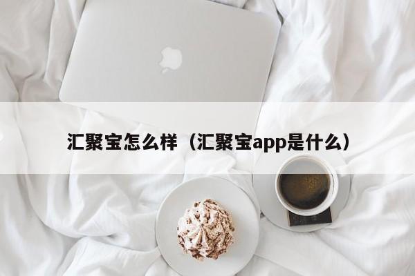 汇聚宝怎么样(汇聚宝app是什么)