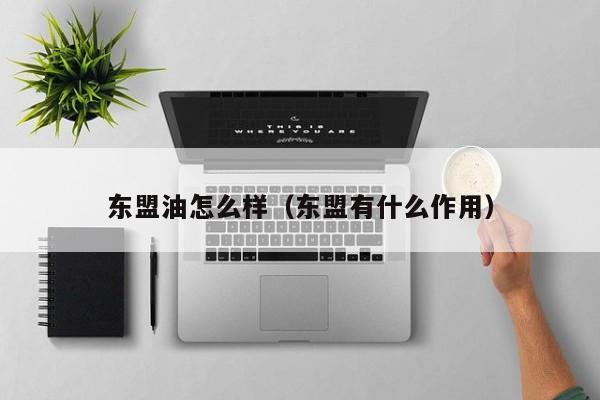 东盟油怎么样(东盟有什么作用)