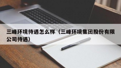 三峰环境待遇怎么样（三峰环境集团股份有限公司待遇）